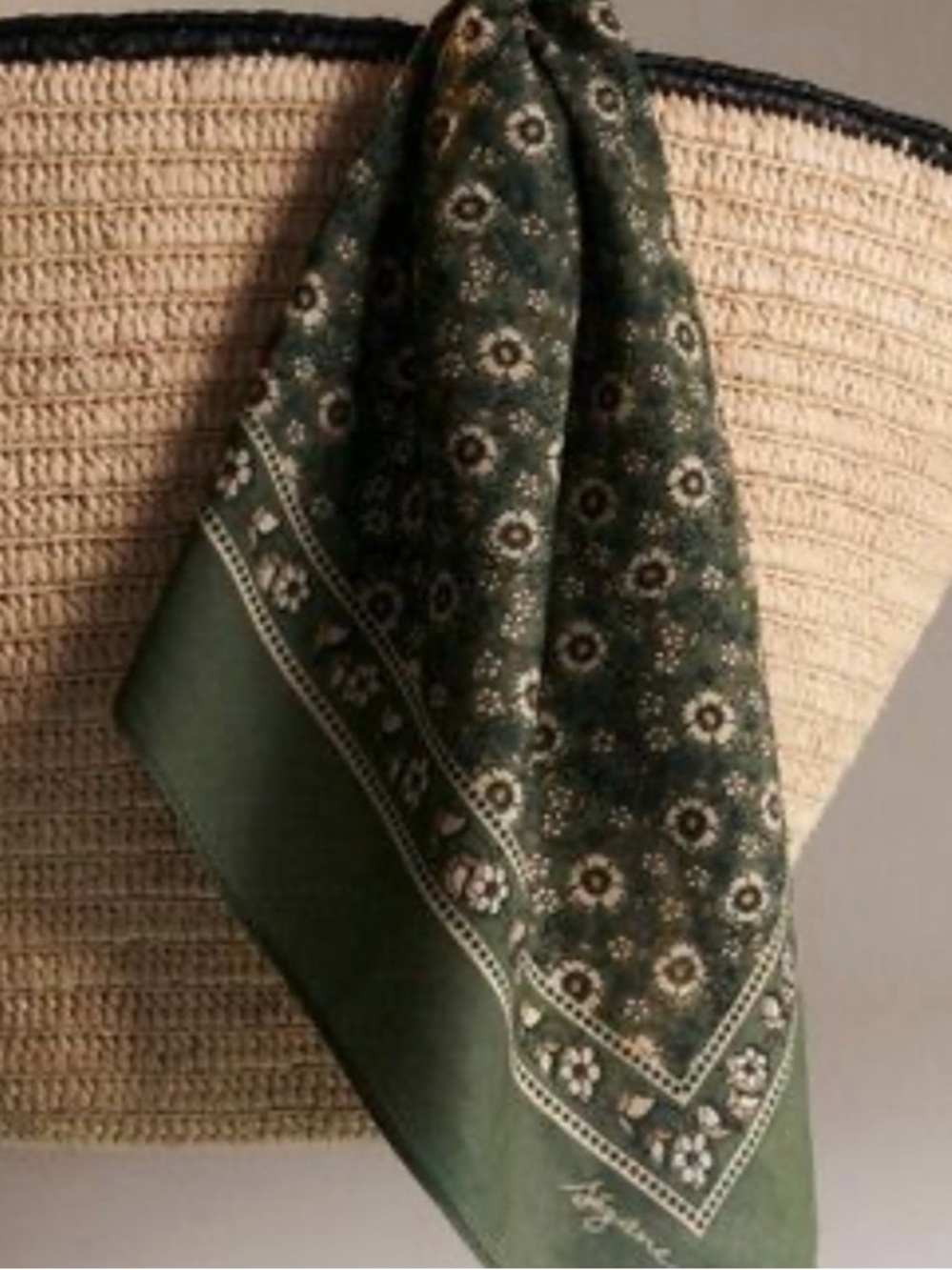 SÉZANE Kerala Vert Floral Bandana  Gaston Scarf